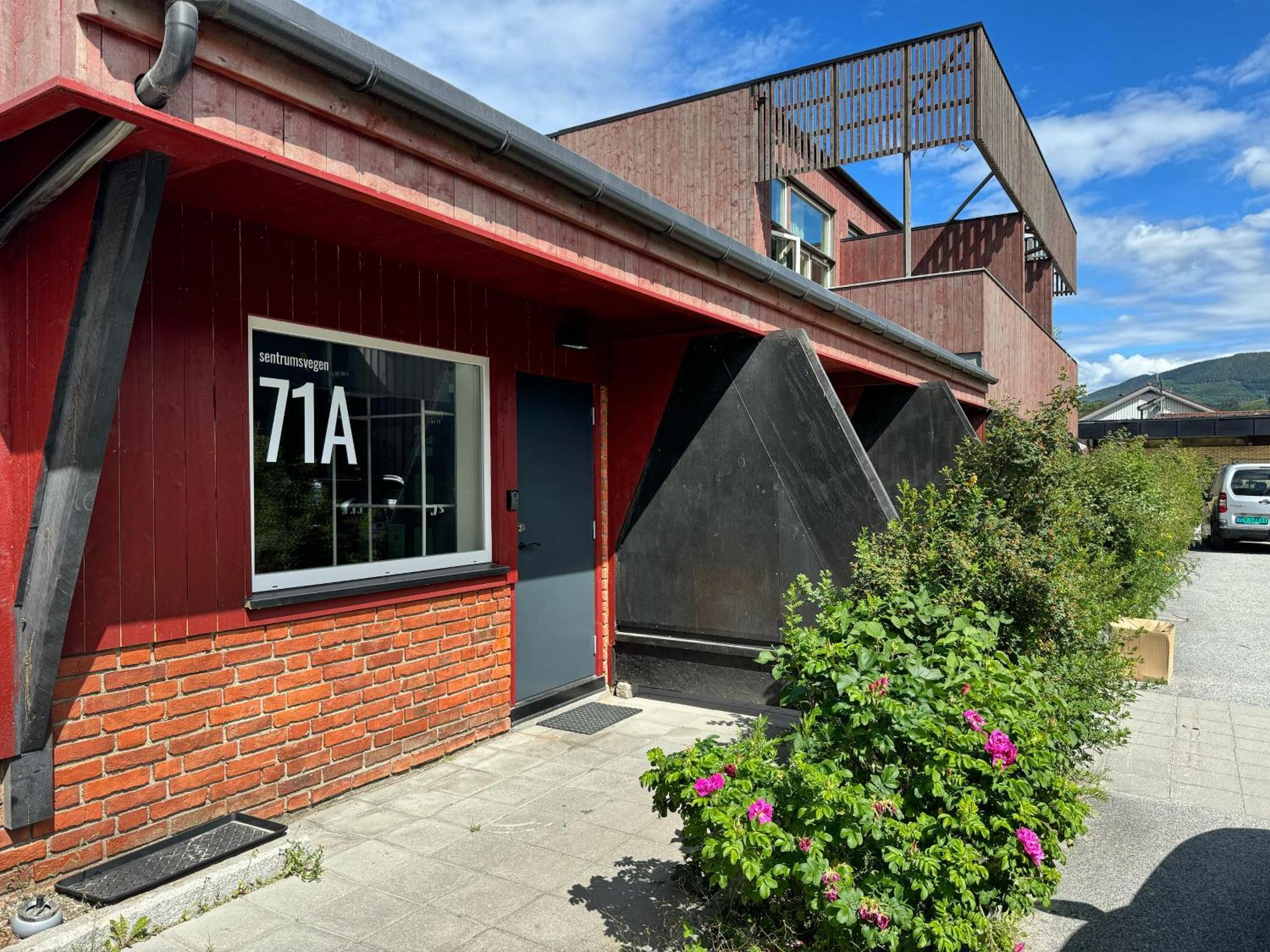 Sentrumsvegen - Private Studio Apartment In Gol Exterior photo
